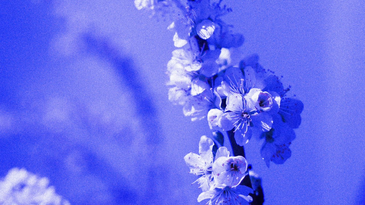 Spring In A Small Town - Memoria