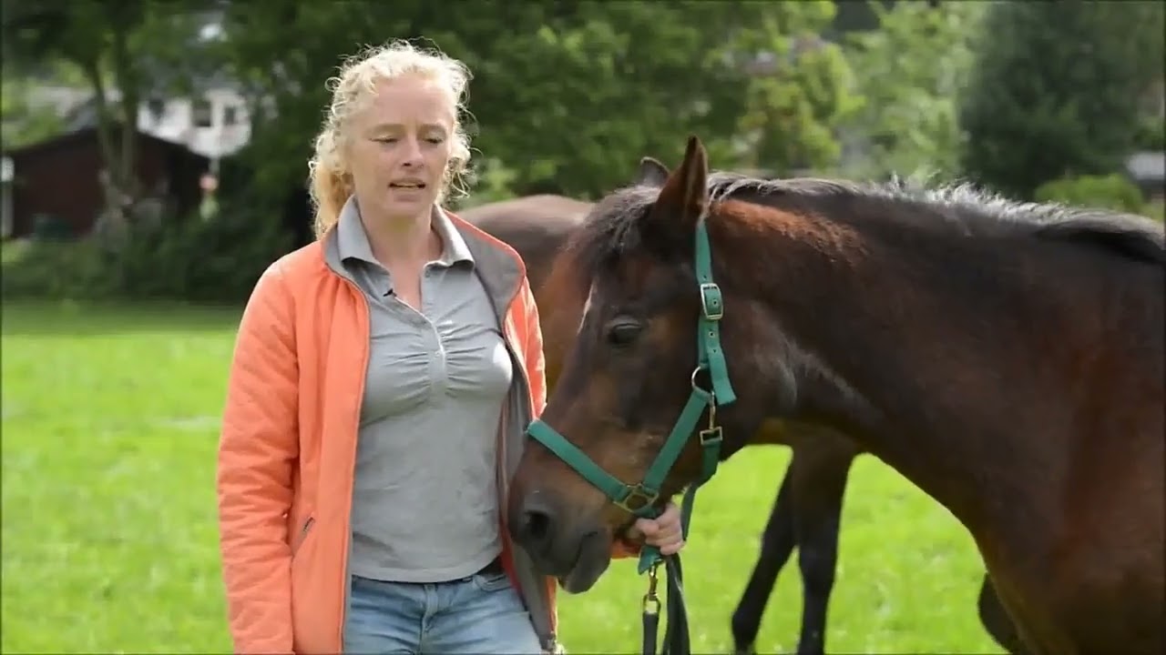 Ziekte van Cushing (PPID) bij paarden