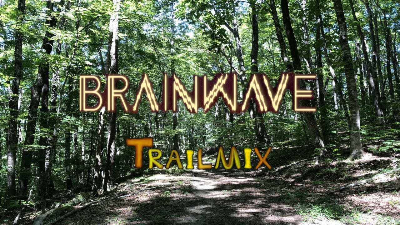 BRAINWAVE - Trailmix