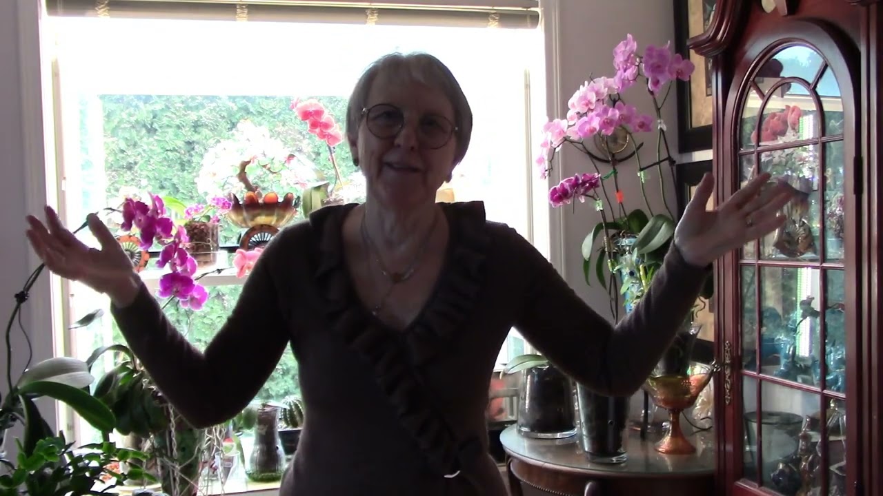 When to cut spikes with no flowers on orchids