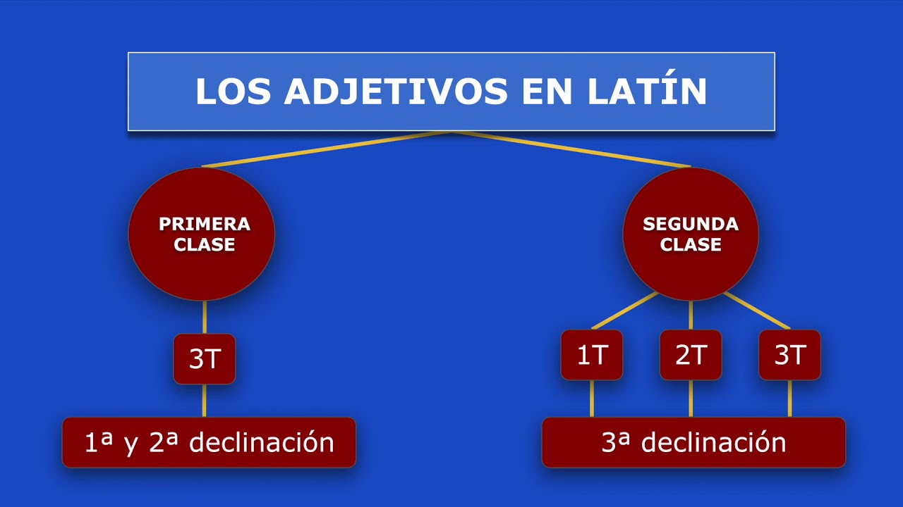 LOS ADJETIVOS EN LATÍN I