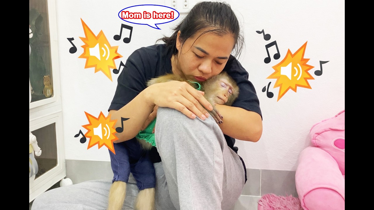 It's so noisy! Monkey Lyly can't sleep because of the constant noise from the neighbors.