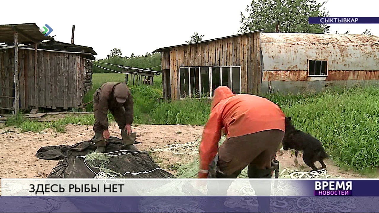Здесь рыбы нет