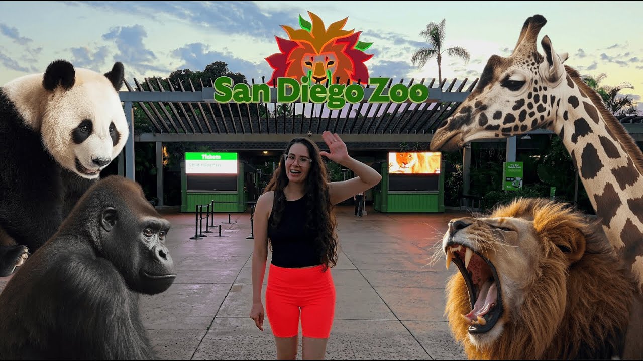 San Diego Zoo en 1 día 🦁🐼 | El más famoso del mundo | Tour Completo 2025