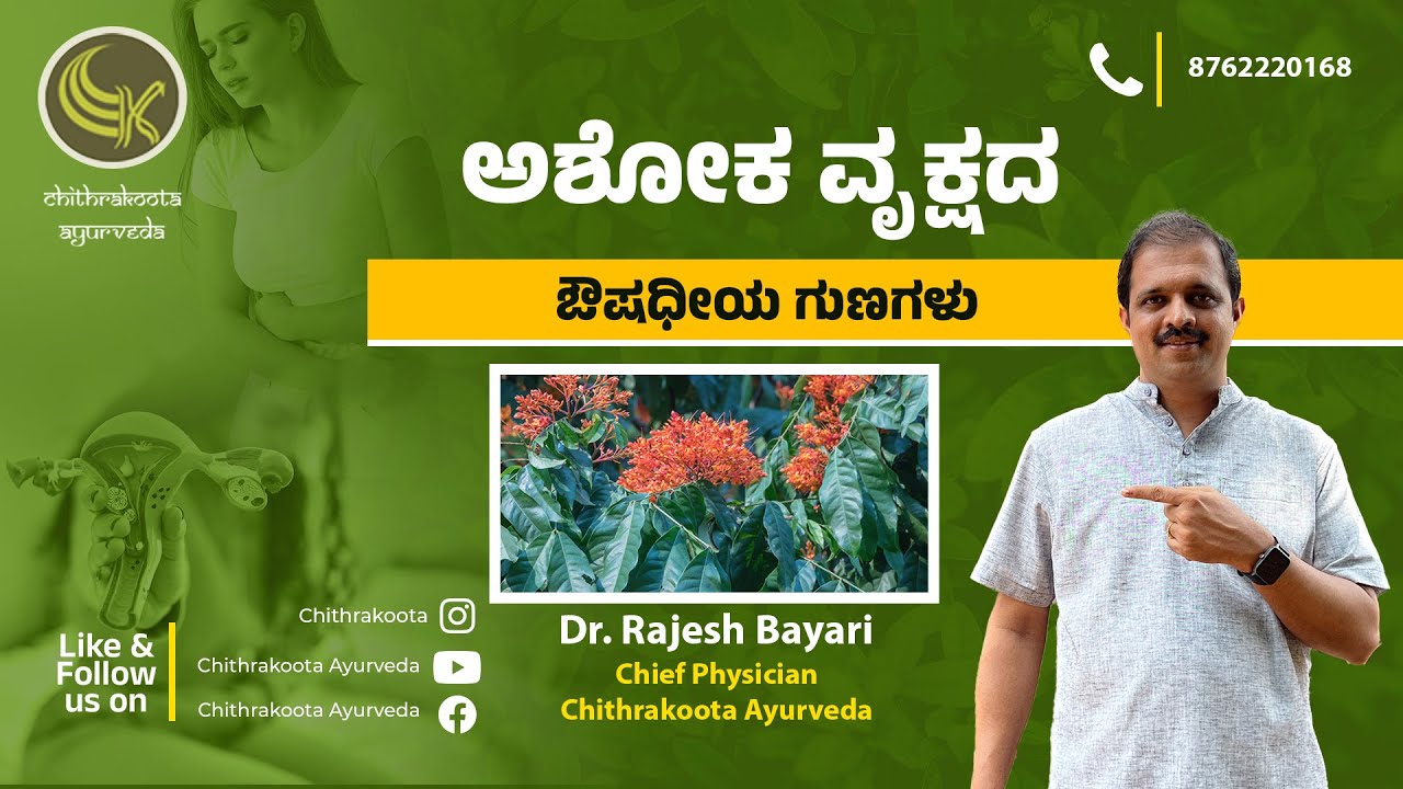 ಅಶೋಕ ವೃಕ್ಷದ ಔಷಧೀಯ ಗುಣಗಳು I Benefits of Saraca asoca I Chithrakoota Ayurveda I Dr. Rajesh Bayari