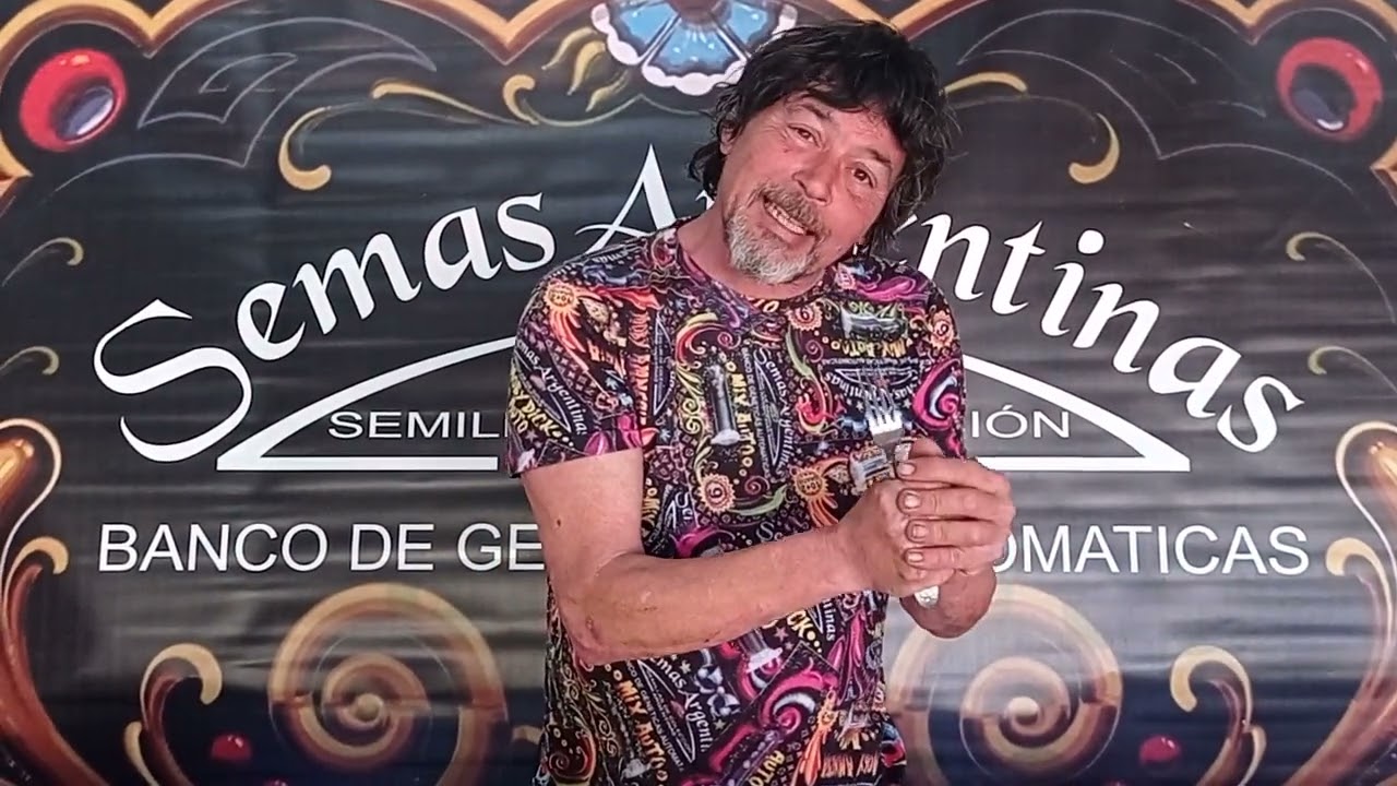 Como hacer aceite medicinal