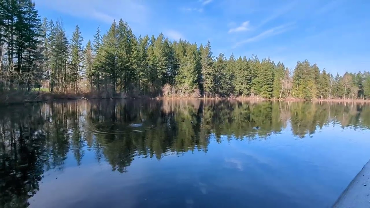 Lake in portrait 