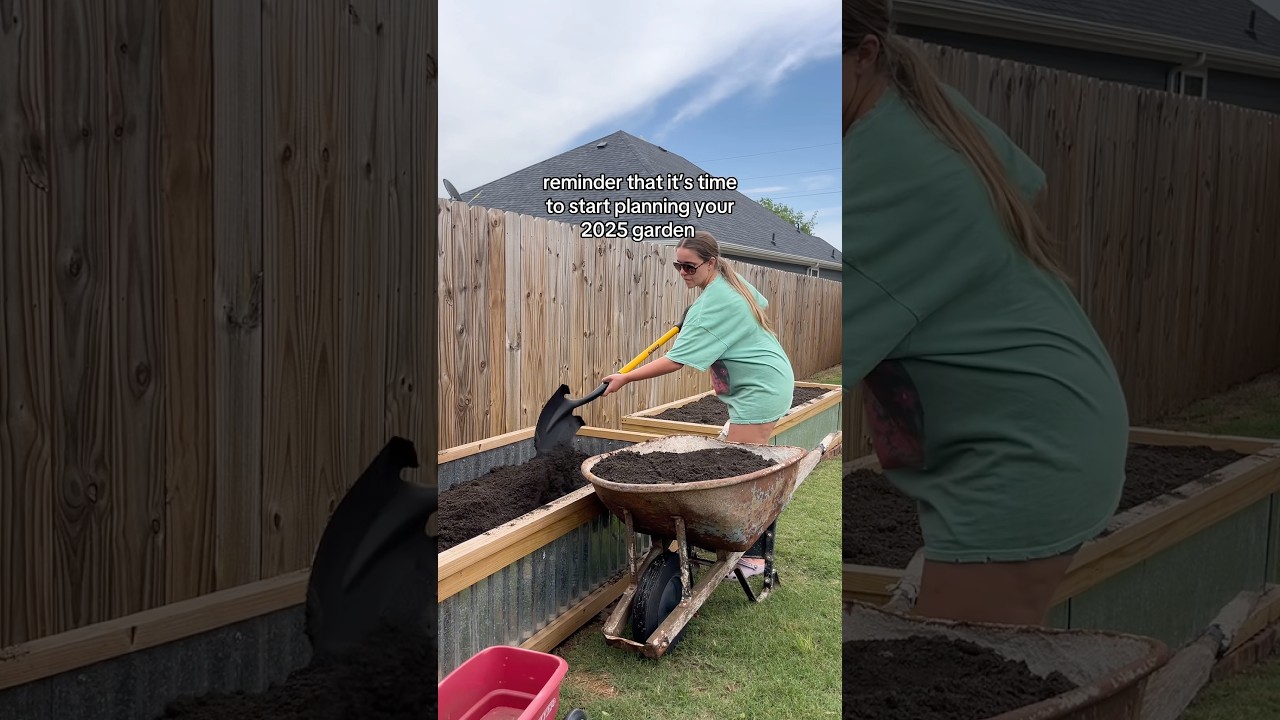 it&rsquo;s that time!🌱 #gardeningtips #gardening #vegetablegarden #homegardening #backyardgardening #diy