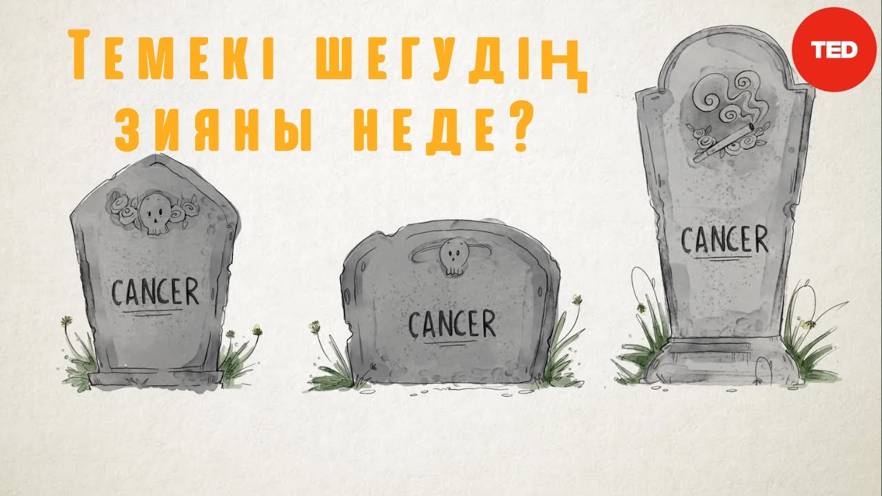 Темекі шегу неліктен зиян? [Ted - Ed]