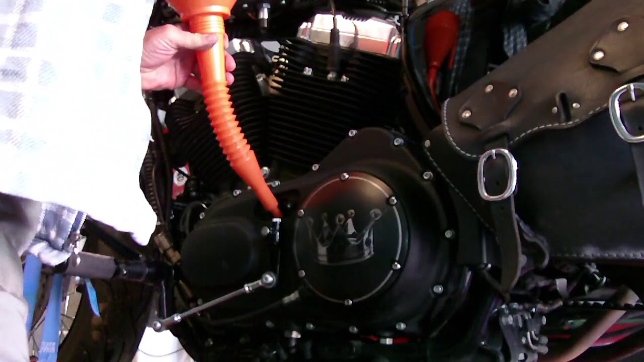 Harley Davidson Sportster Getriebeölwechsel