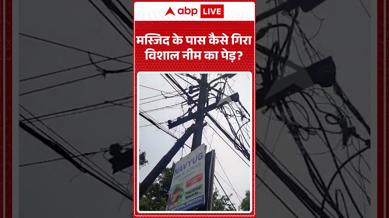 Viral Video : मस्जिद के पास कैसे गिरा विशाल नीम का पेड़ ? | #Lucknow #Tree #Collapse #shorts