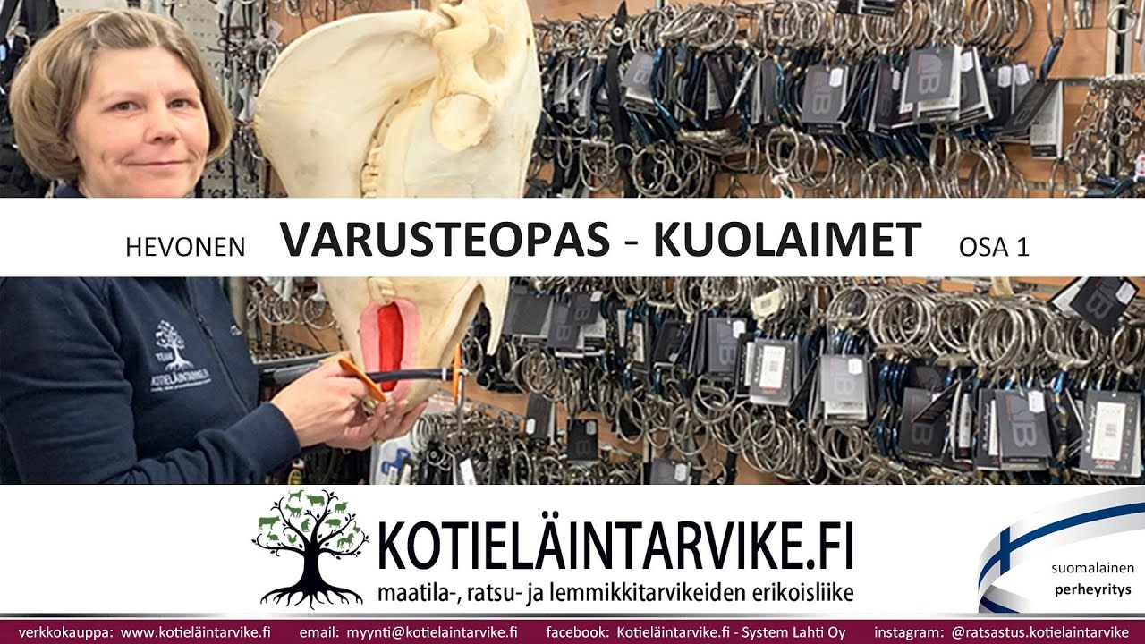 Varusteopas - Kuolaimet Osa 1