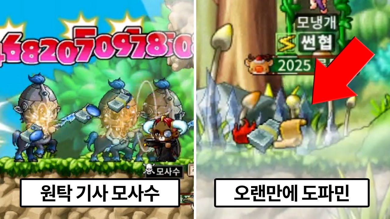 결국 등장한 '리프레 버전 원양어선'