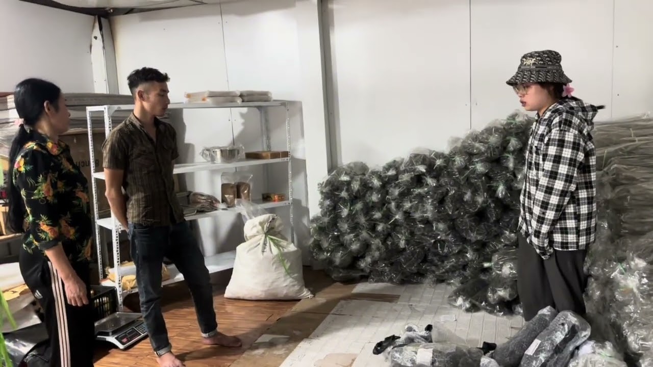 Vương làm Lướn Rồi Khổ cho nguyệt 