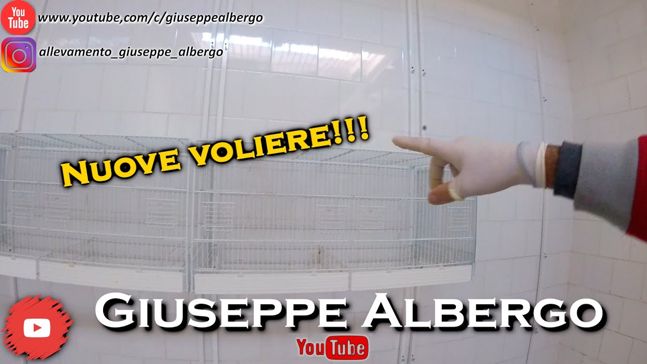 Nuove Voliere in Arrivo!!! - Giuseppe Albergo