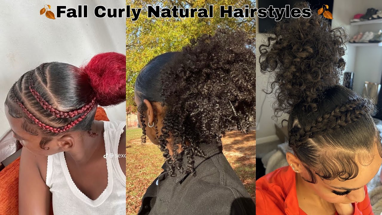 Natural Curly Hairstyles Compilation 🤎 