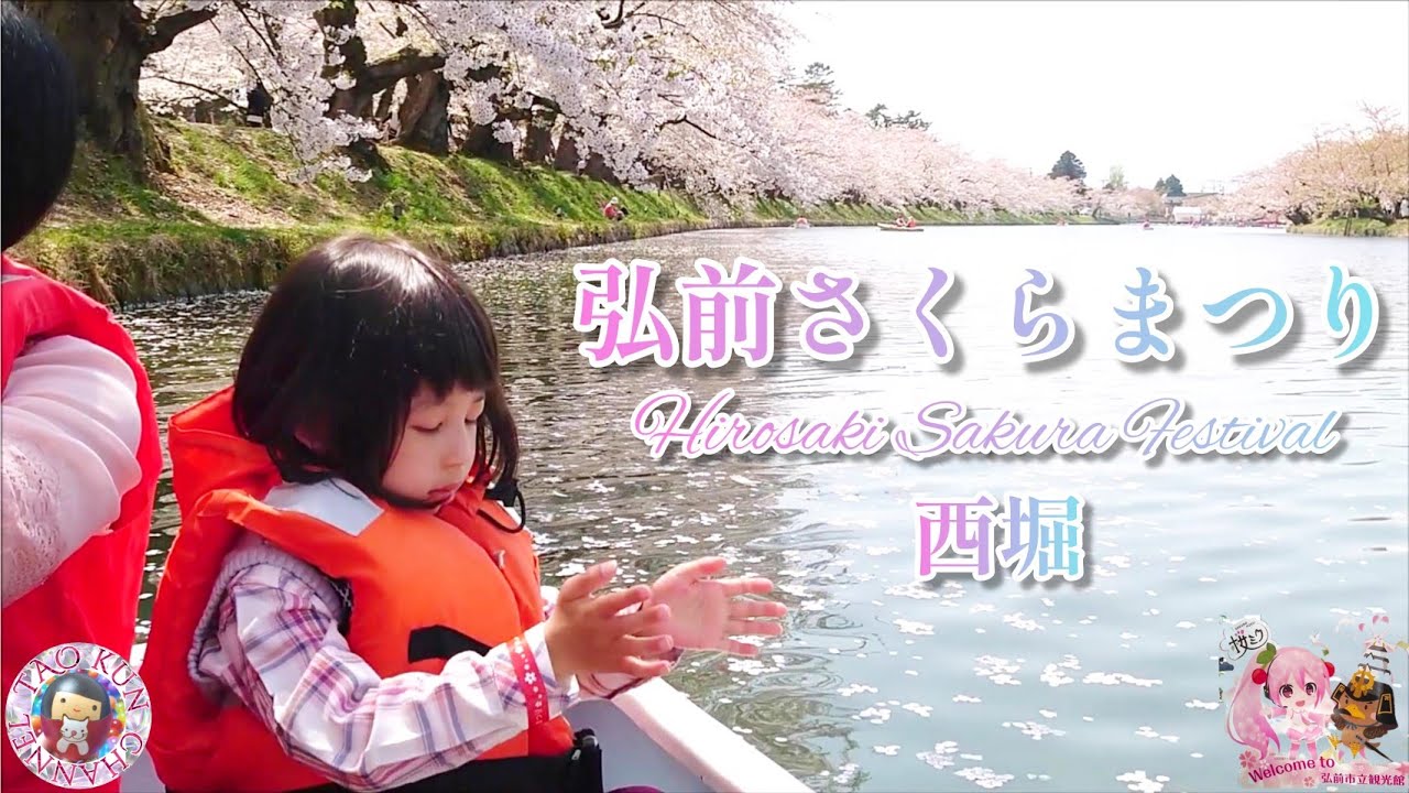 🌸日本一の桜の名所🌸弘前さくらまつり2022🌸西堀🌸ボート🌸太鳳くんとお花見🌸弘前城公園🏯travel JAPAN🗾Cherry blossoms🌸Boat🌸Hirosaki Castle🏯