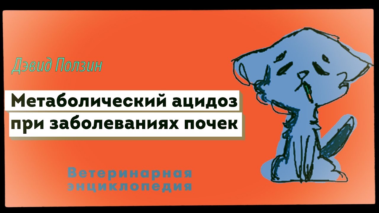 Метаболический ацидоз при заболеваниях почек
