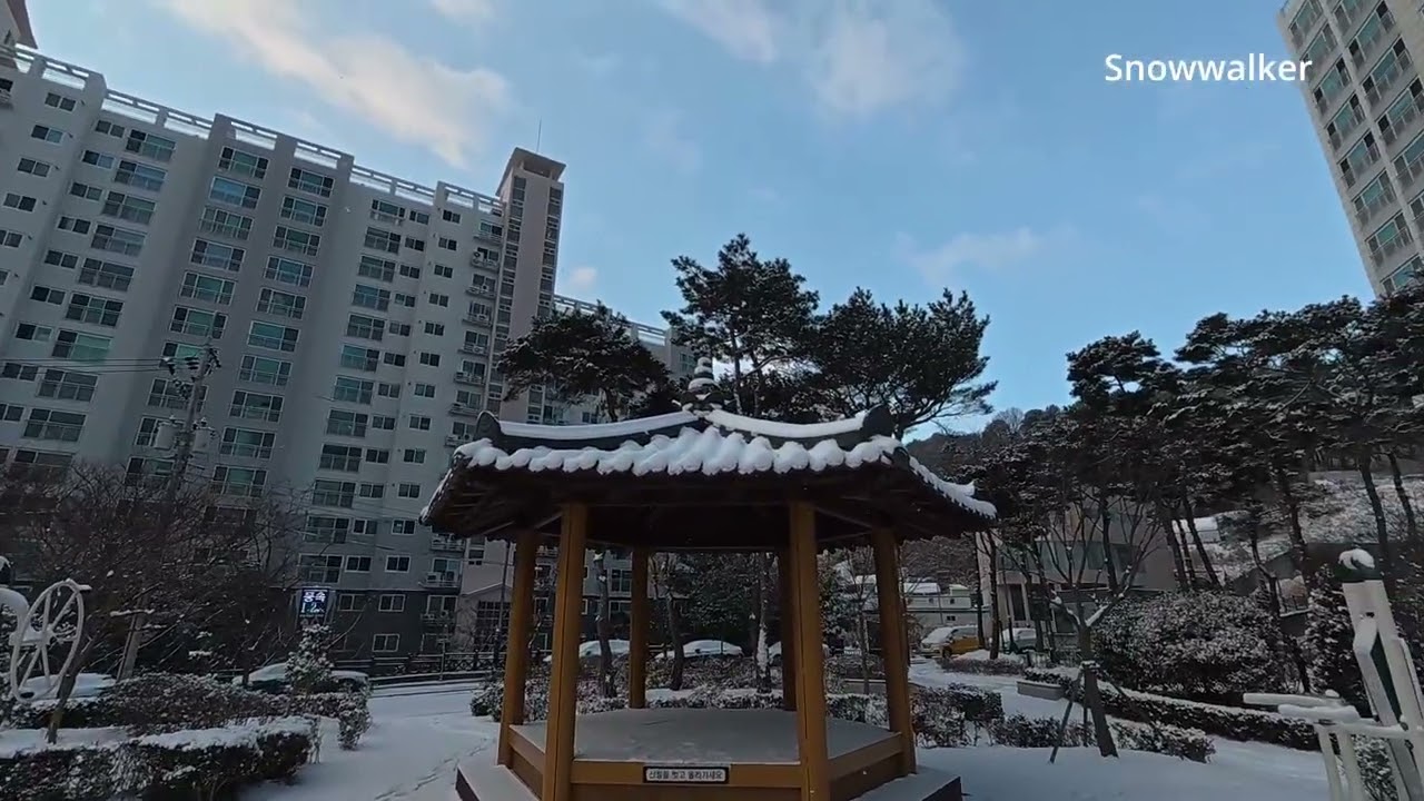 Winter City in Korea ❄️ 차갑지만 아름다운 도시의 겨울