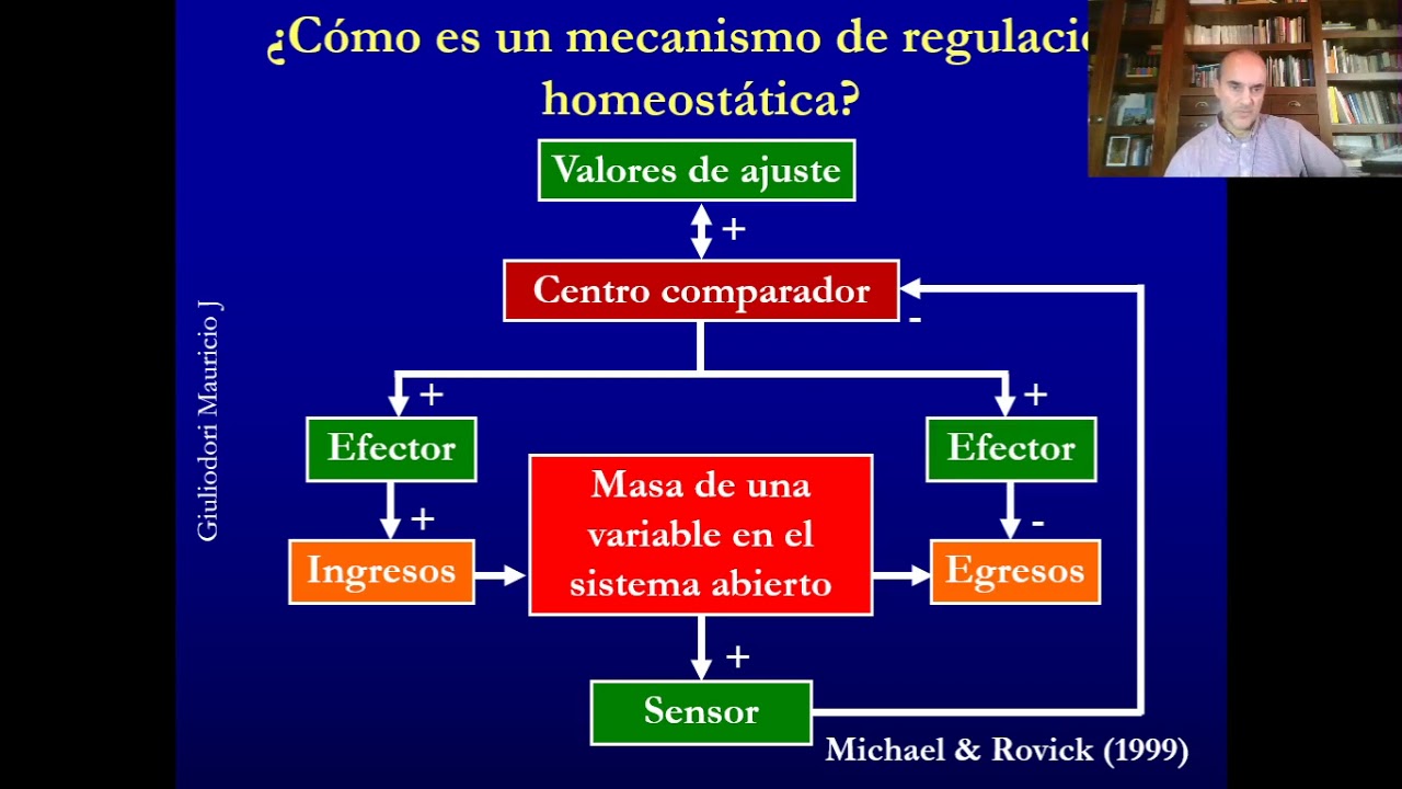 Mecanismos de regulación homeostática en menos de 10 minutos, fácil y rápido