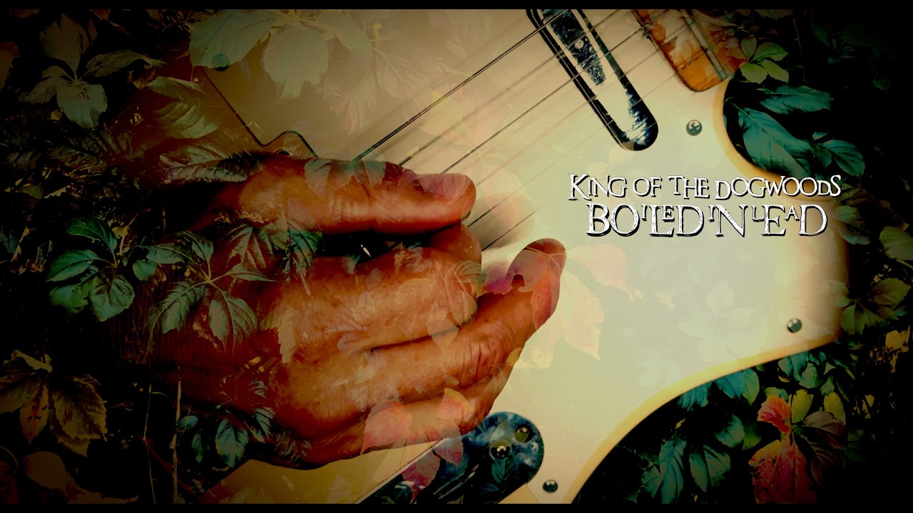 Boiled In Lead - King of the Dogwoods