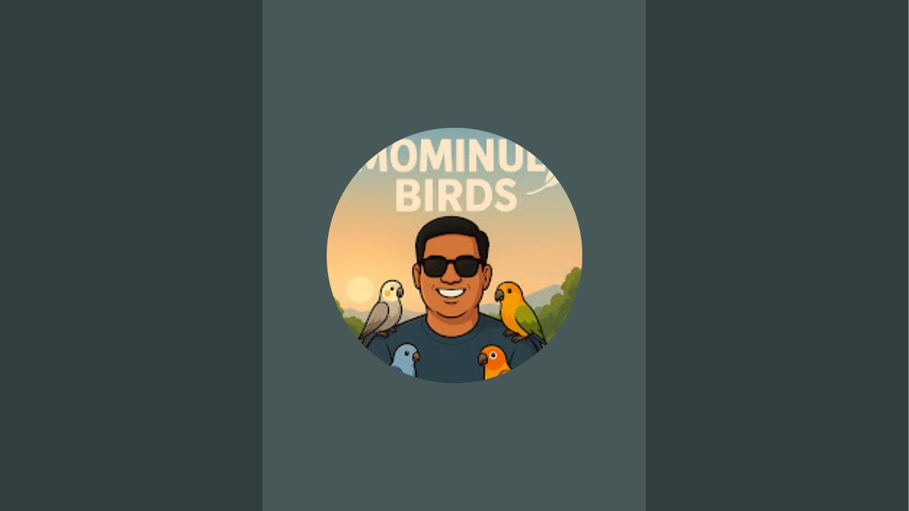 MOMINUL BIRDS  is live অনেক দিন পরে আপনাদের সাথে আমার পাখি খামারে