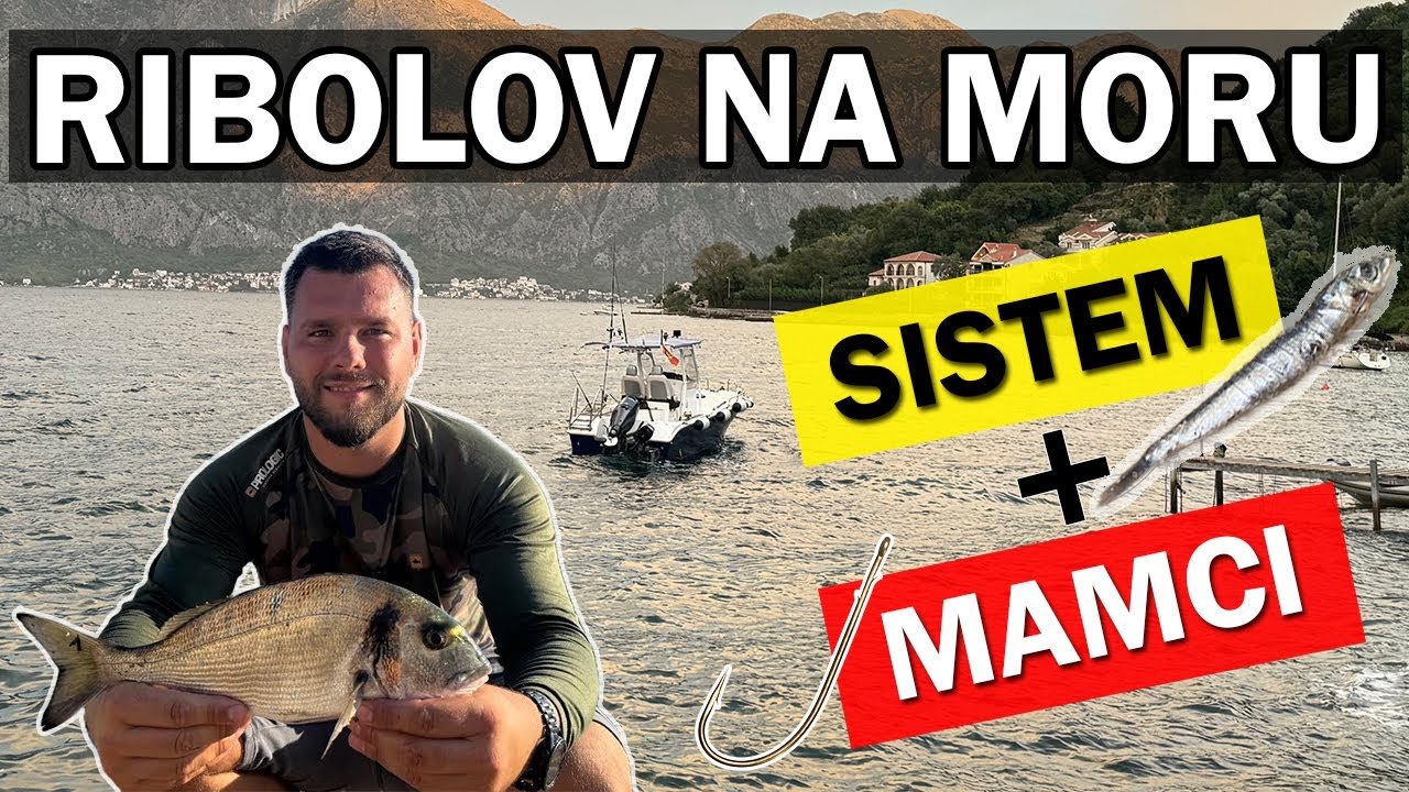 Ribolov na moru - Kako loviti oradu (sistem + mamci)