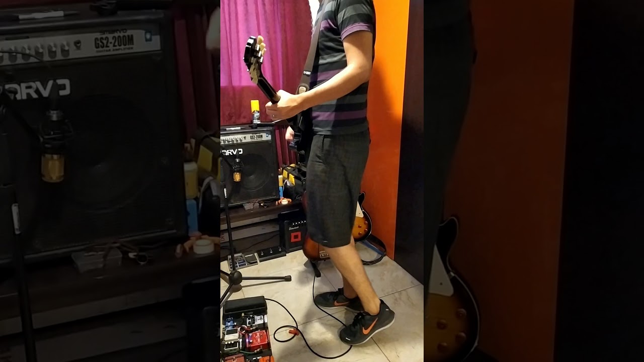 El gato López - SKA-P COVER por SIERRA
