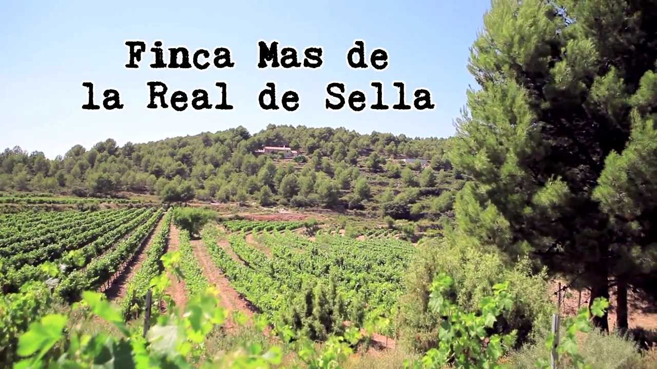 Mas de Sella Vinos de Montaña Mediterránea