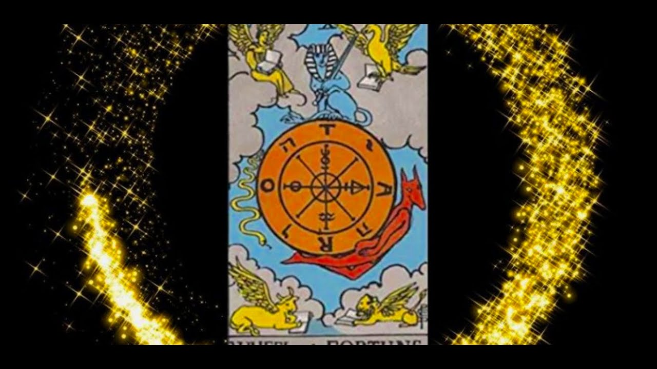 CAPRICORN THE UNIVERSE HAS FOUGHT FOR THIS FOR YOU! 🌎🙏🏻✨ 4 MARCH 2025 DAILY TAROT
