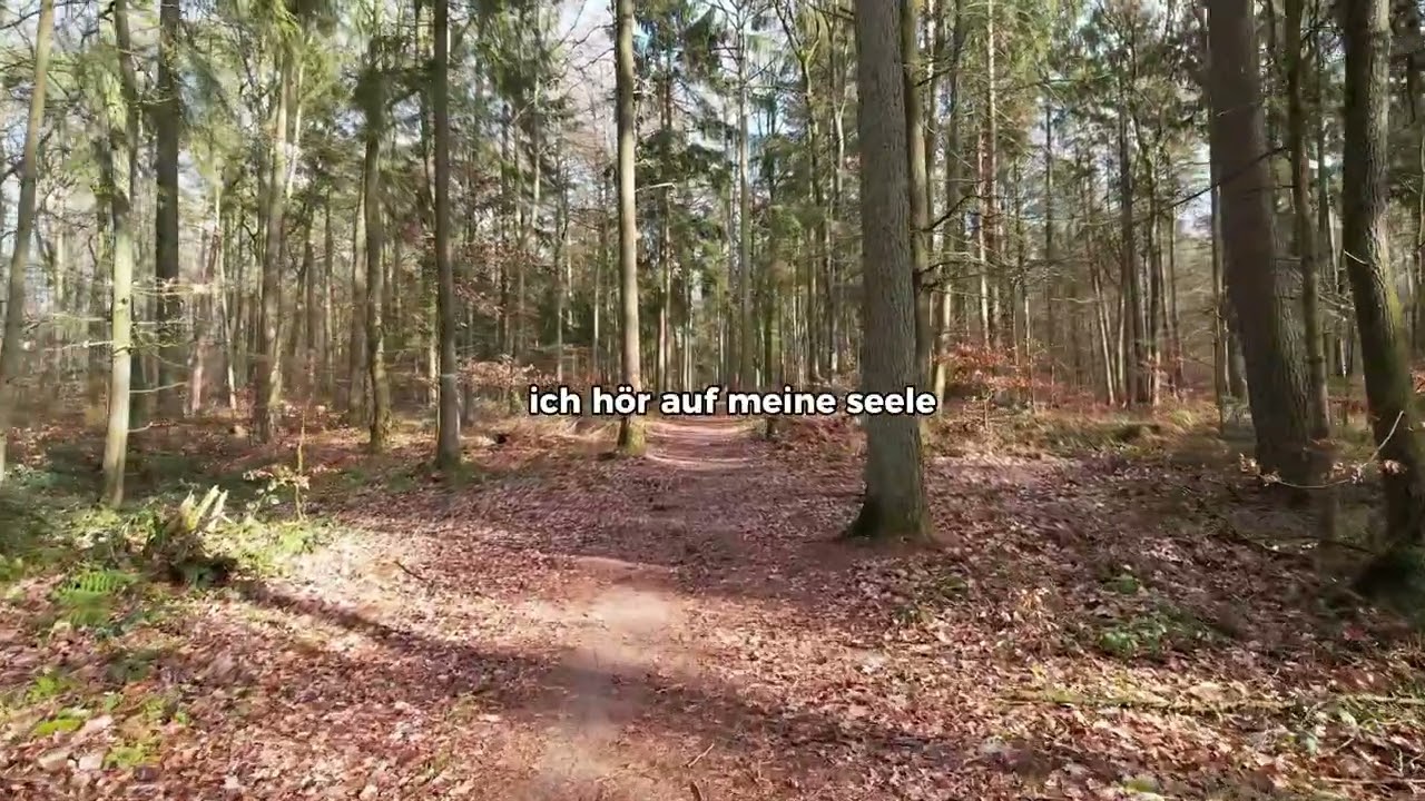 DRUGAIA - Ich hör nicht auf (prod. by AnswerInc) [Lyric Video] IDRLDK Album