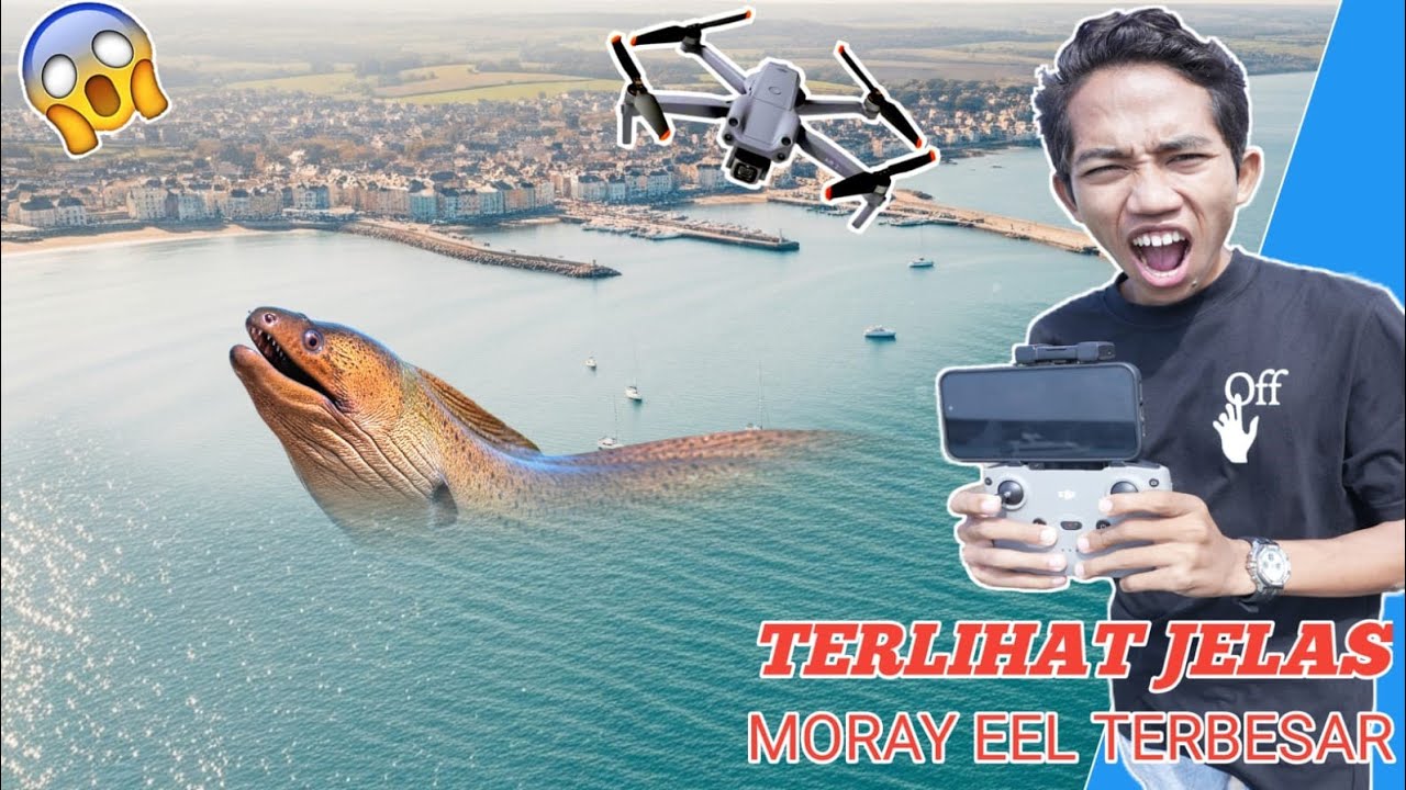 TEREKAM DRONE MUNCULNYA MORAY EEL PENGUASA LAUTAN TERBESAR DIBUMI??😱 | Mikael TubeHD