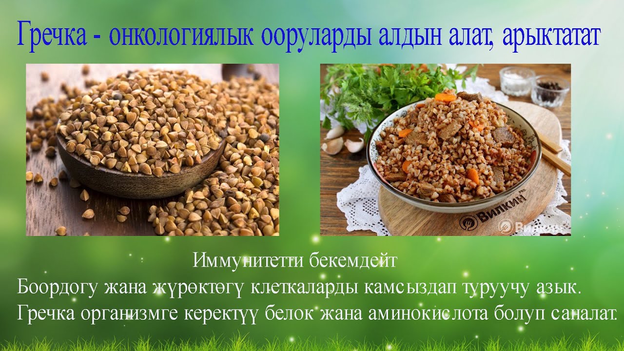 Гречка онкологиялык ооруларды алдын алат