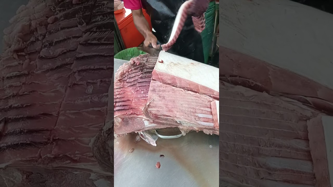 pari 200kg potong isi #fishing #pasarkampung #sungaipetani #kedah #seafood #streetfood