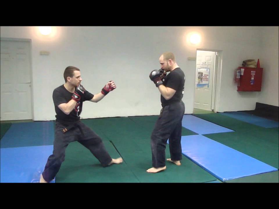 Miky Rosner - Bujinkan Ninjutsu Israel - Jan 2013