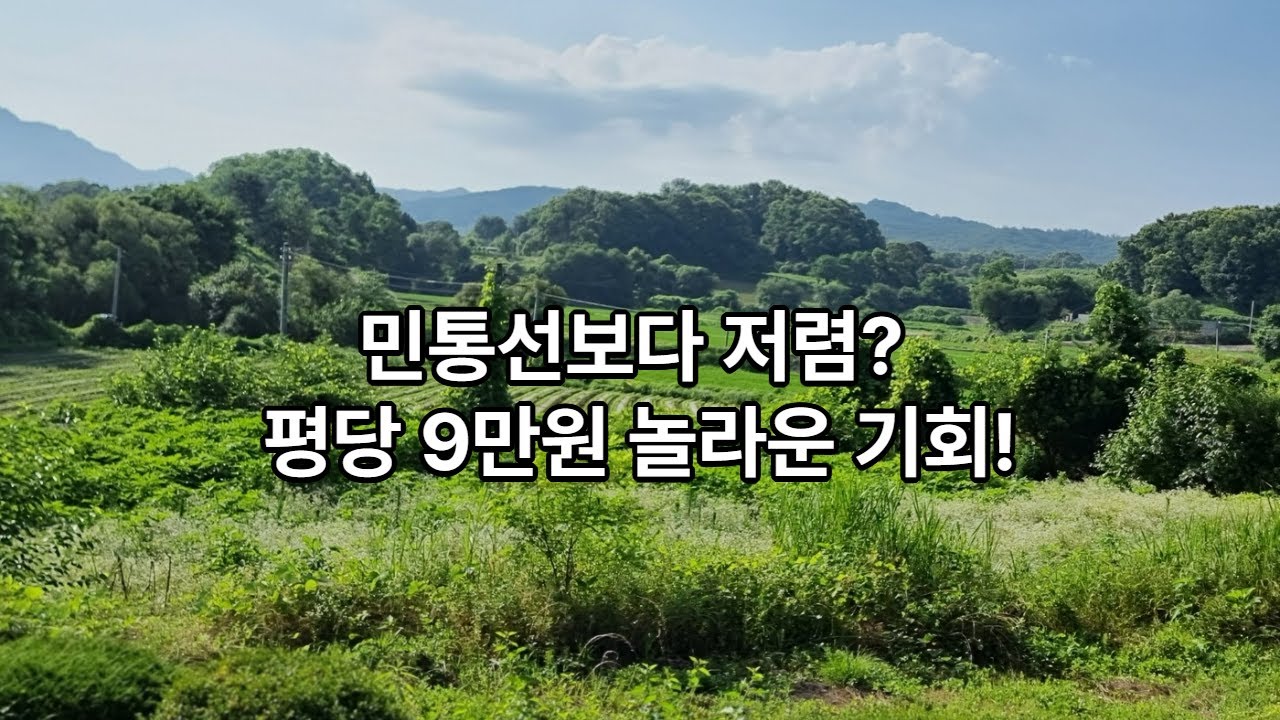 파주  접경지역   적성면 장좌리 1300평대  민통선 토지보다 싼 매물소개