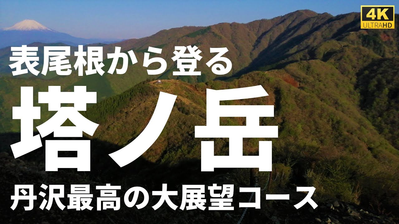 【徹底解説】塔ノ岳 表尾根ルート詳細ガイド【丹沢最高の眺望コース】How to climb Mt. Tonodake