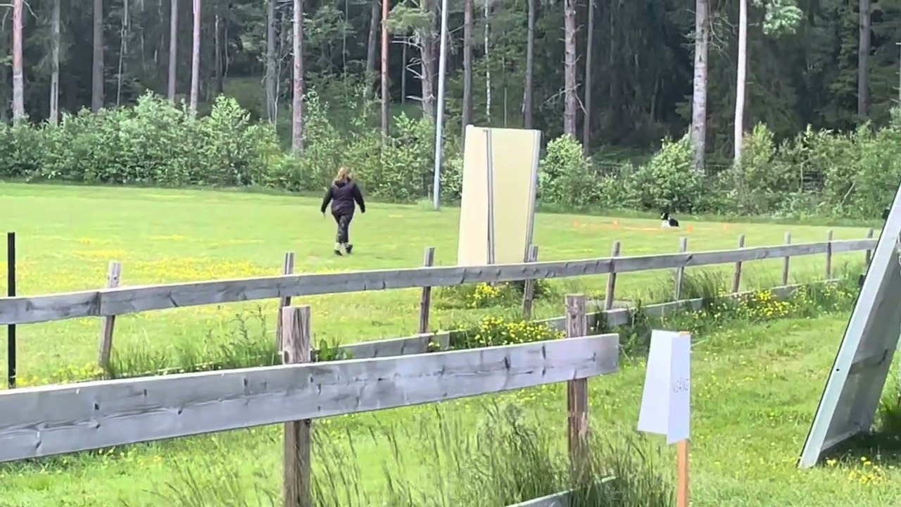 Mamma och Clarke 6/6 - 2024 klass 2 lydnad