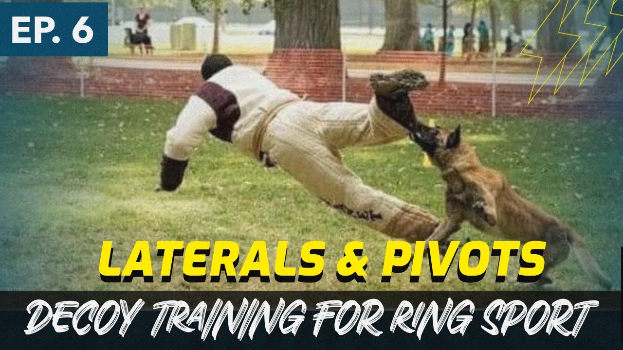 Behind The Stick - Ep. 6 - Decoy Training - Laterals and Pivots - French Ring Training