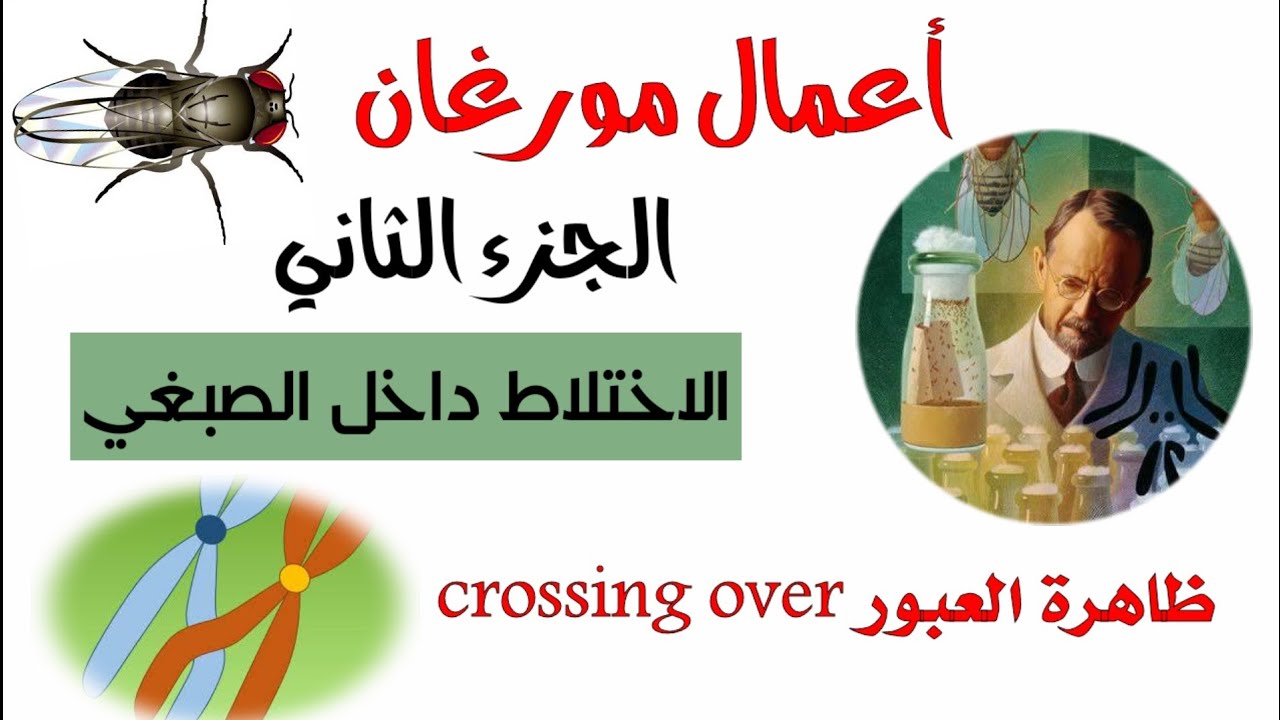 ملخص أعمال مورغان الجزء 2  | سنة ثانية ثانوي علوم تجريبية + رياضيات