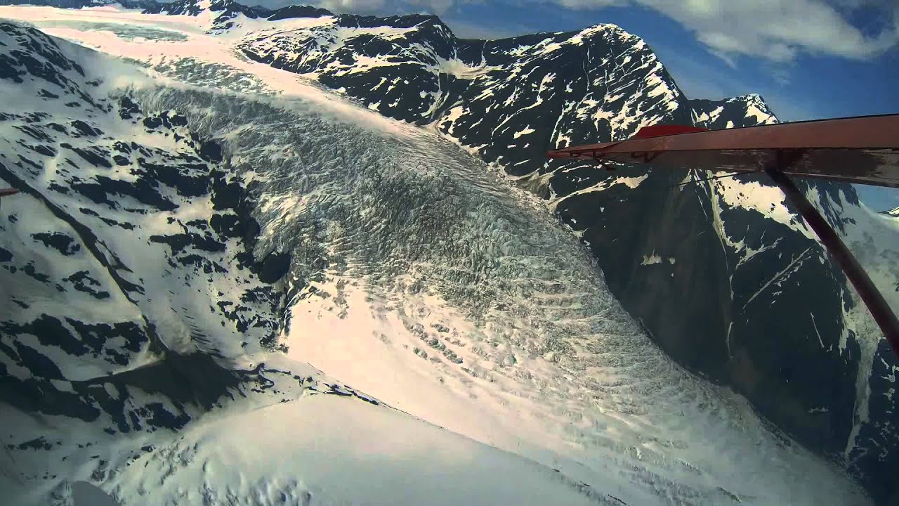 Rust's Flying Service Wildlife and Glacier Tour