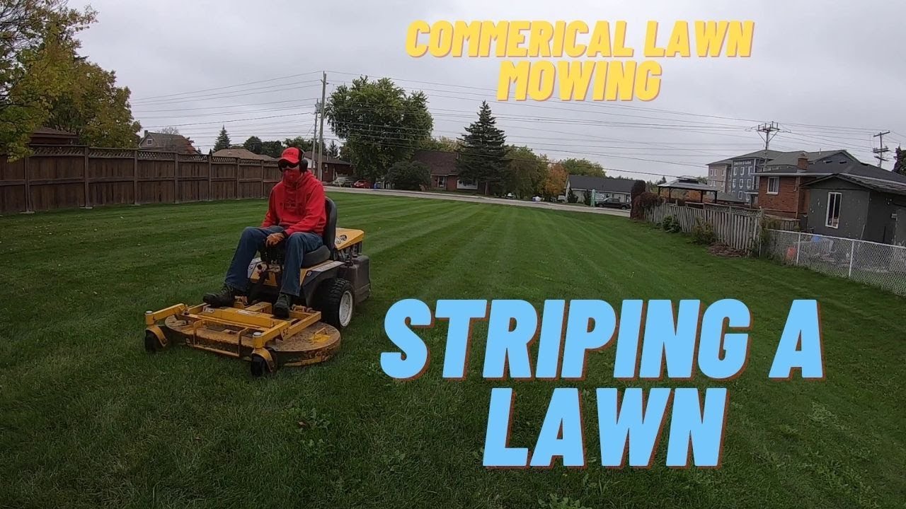 Mowing our Commerical lawn