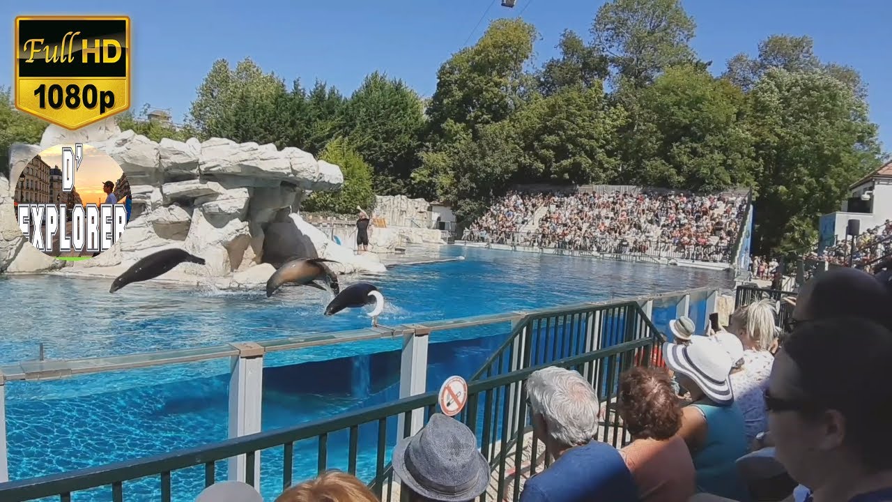 ZooParc de Beauval/One of the Best zoos in the World/Bird Show/Sealion Show(France)