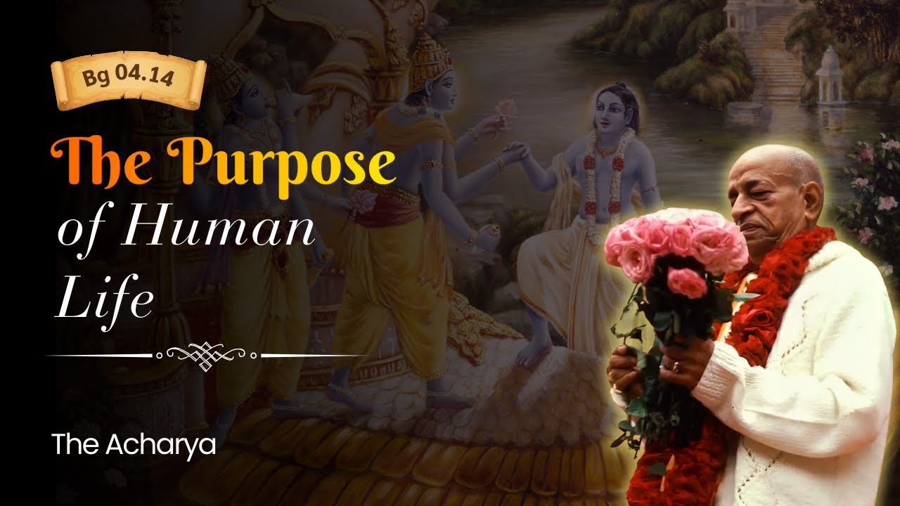 The Purpose of Human Life | Srila Prabhupada | BG 4.14