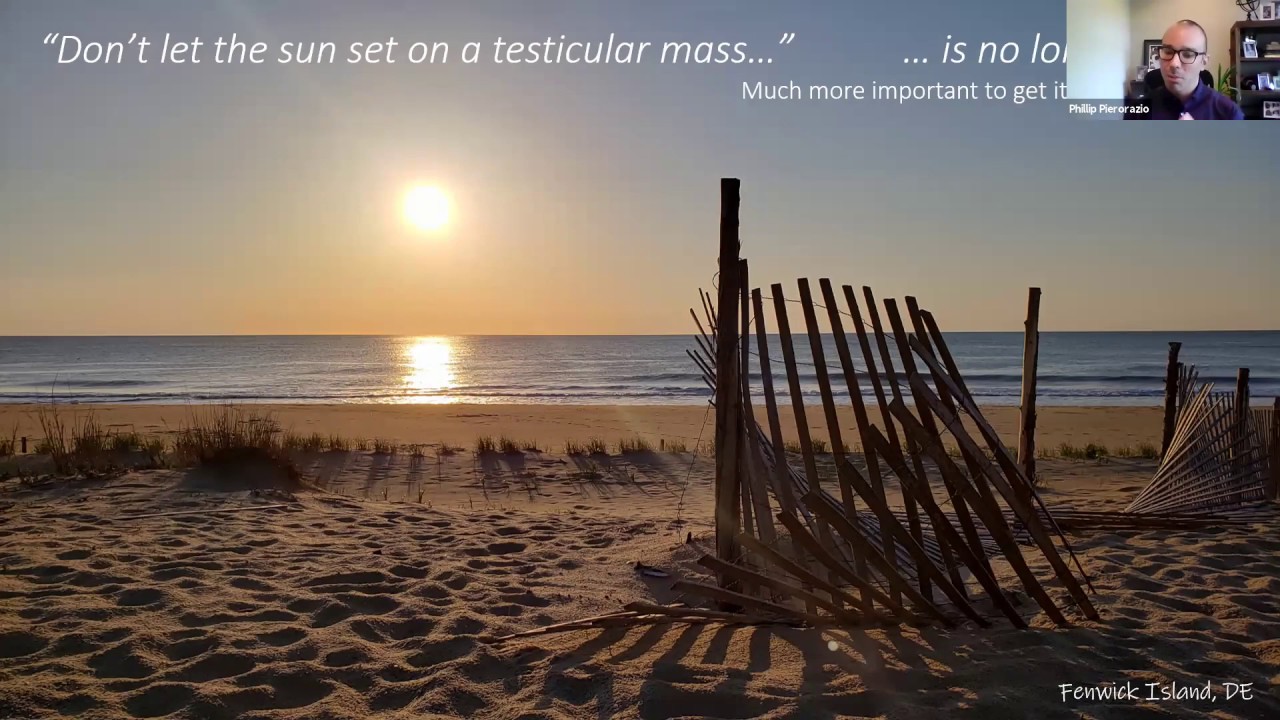 Testicular cancer basics - EMPIRE Urology Lecture Series