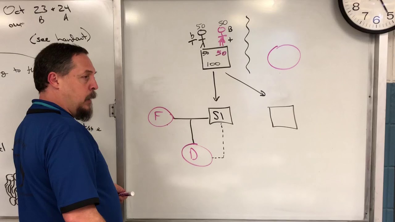 Outcrossing, linebreeding, & Inbreeding: Basic Genetics - Ep#155