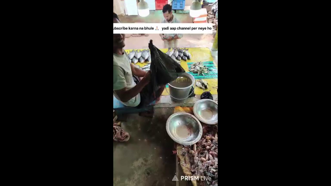 Live streaming of kunu fish cutting
