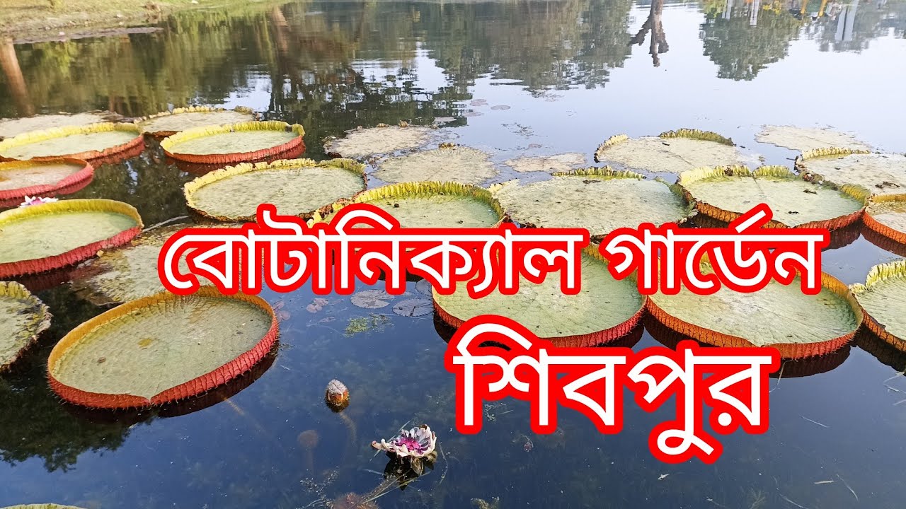 কলকাতা বোটানিক্যাল গার্ডেন ll kolkata Botanical Garden ll  এখন নতুন নতুন অনেক কিছু যুক্ত হয়েছে