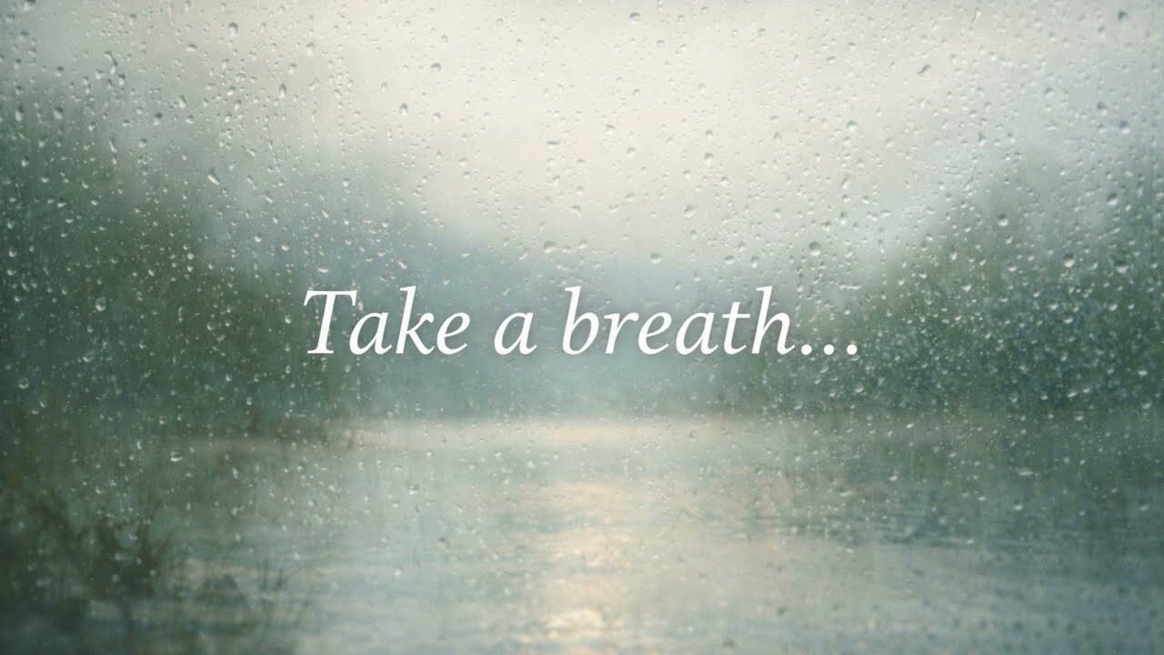 🌿 Take a Breath | Calm Quotes with Rain