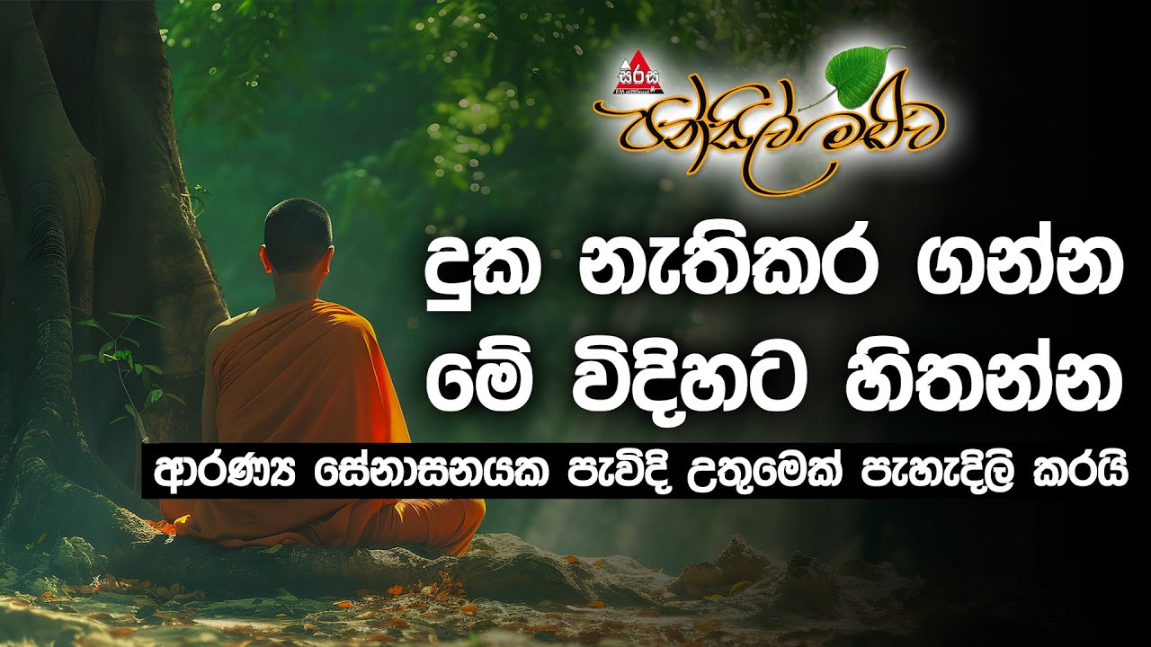 ආරණ්‍යය සේනාසනයක පැවිදි උතුමෙකුගේ අත්දැකීම් | #pansilmaluwa #bana #podcast